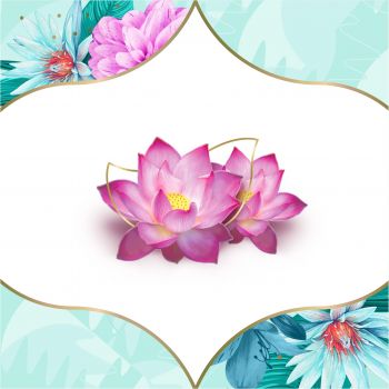 Прокладки щоденні DISCREET Deo Water Lily Single 20 шт (8700216152846) Прокладки щоденні DISCREET Deo Water Lily Single 20 шт (8700216152846) | Фото 10