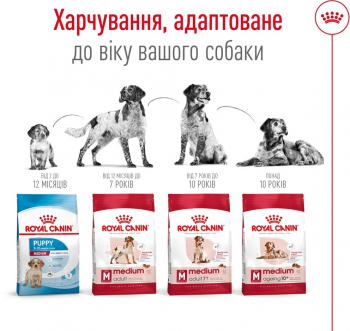 Сухий корм для собак Royal Canin Medium Adult 7+ середніх порід старше 7 років 4кг (3182550708203) Сухий корм для собак Royal Canin Medium Adult 7+ середніх порід старше 7 років 4кг (3182550708203) | Фото 5