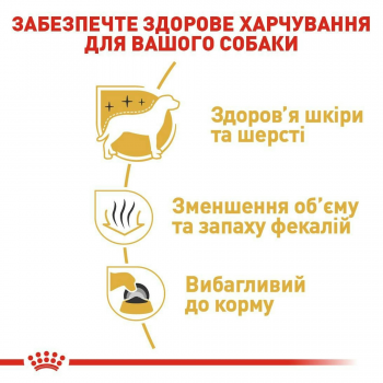Сухий корм для собак породи Мальтійська болонка Royal Canin Maltese Adult 1.5кг Сухий корм для собак породи Мальтійська болонка Royal Canin Maltese Adult 1.5кг | Фото 5