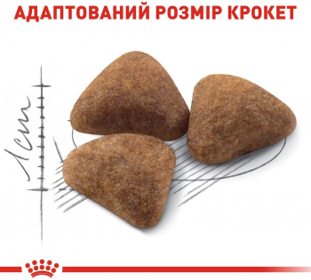 Сухий корм для домашніх котів Royal Canin Indoor 2 кг (3182550704625) | Фото 5