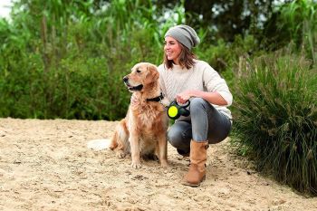 Повідець-рулетка Flexi New Neon M до 25 кг 5 м чорний/жовтий (4000498031704) Повідець-рулетка Flexi New Neon M до 25 кг 5 м чорний/жовтий (4000498031704) | Фото 2