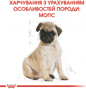 Сухий корм для цуценят породи Мопс Royal Canin Pug Puppy 1.5кг Сухий корм для цуценят породи Мопс Royal Canin Pug Puppy 1.5кг | Фото 5