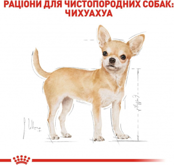 Сухий корм для собак породи Чихуахуа Royal Canin Chihuahua Adult 3кг Сухий корм для собак породи Чихуахуа Royal Canin Chihuahua Adult 3кг | Фото 7