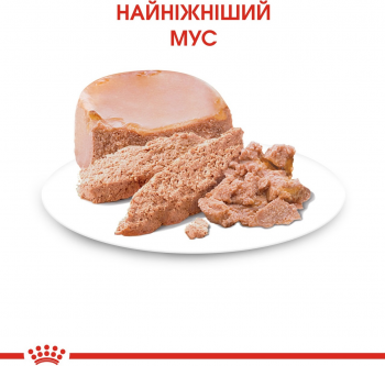 Вологий корм для кошенят Royal Canin Mother&Babycat Cans 195г | Фото 2