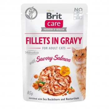 Вологий корм для кішок Brit Care Cat pouch 85г філе у соусі пікантний лосось (8595602540525) | Фото 1
