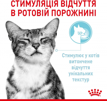 Упаковка вологого корму для котів Royal Canin Sensory Multipack 12х85г | Фото 3