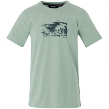 Футболка чоловіча Regatta ClineIX RMT296-U3A XXL світло-зелена (5063516005872) Футболка чоловіча Regatta ClineIX RMT296-U3A XXL світло-зелена (5063516005872) | Фото 1