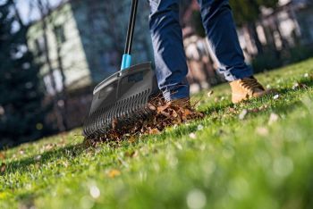 CELLFAST IDEAL (40-310) CELLFAST IDEAL (40-310) | Фото 2