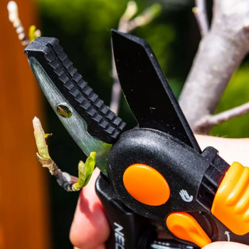 Купить секатор и сучкорез Секатор контактний Neo Tools, d леза 18мм, 200мм, 240г (15-203) | Фото 6