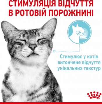 Вологий корм для котів Royal Canin Sensory Feel Jelly 85г | Фото 7