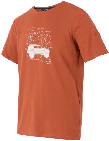 Футболка чоловіча Regatta ClineIX RMT296-V2Q S помаранчева (5063516005988) | Фото 6