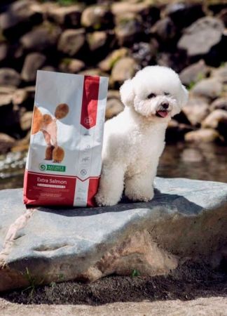 Сухой корм для собак Nature's Protection Extra Salmon Adult All Breeds 2кг (NPS45751) Сухой корм для собак Nature's Protection Extra Salmon Adult All Breeds 2кг (NPS45751) | Фото 3