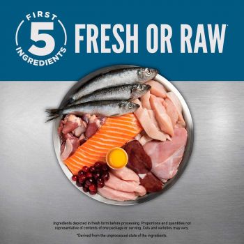 Сухий корм для кішок на всіх стадіях життя Orijen Guardian 8 з м`ясом риби та птиці 4,5 кг (o71893) Сухий корм для кішок на всіх стадіях життя Orijen Guardian 8 з м`ясом риби та птиці 4,5 кг (o71893) | Фото 4