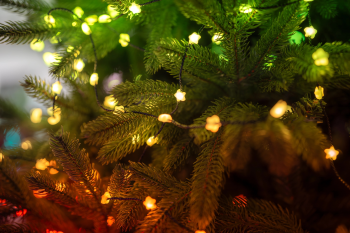 Smart LED Гірлянда Twinkly Strings USB 100 Star-shaped RGB LEDs, Clear Wire, USB-C (TWKS100RGB-T) | Фото 8