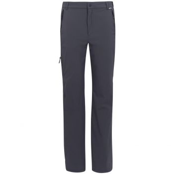 Штани чоловічі Regatta Travel Light Pk Away RMJ300-61I 38 сірі (5063019687490) Штани чоловічі Regatta Travel Light Pk Away RMJ300-61I 38 сірі (5063019687490) | Фото 1