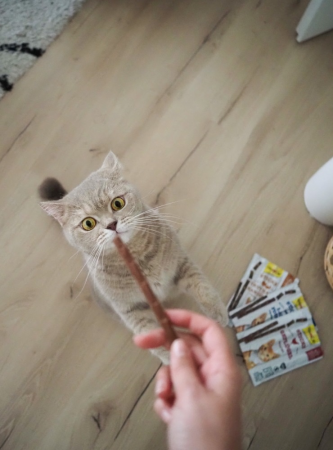 Ласощі для котів GimCat палички з м'ясом птиці 4х5 г (4002064400761) Ласощі для котів GimCat палички з м'ясом птиці 4х5 г (4002064400761) | Фото 3