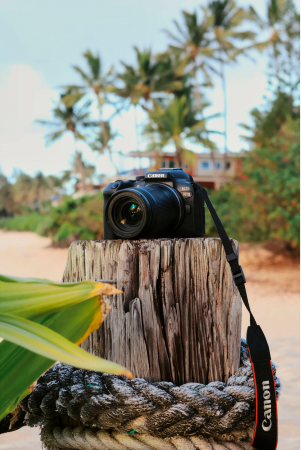 Фотоапарат CANON EOS R10 + RF 16 мм f/2.8 STM (5331C046RF16) Фотоапарат CANON EOS R10 + RF 16 мм f/2.8 STM (5331C046RF16) | Фото 33