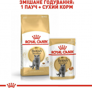 Сухий корм для котів породи Британська короткошерста Royal Canin British Shorthair Adult 10кг (3182550756464) | Фото 7