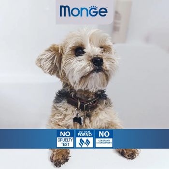 Вологий корм для цуценят Gemon Dog Puppy & Junior зі смаком курки та індички 415 г (8009470387866) Вологий корм для цуценят Gemon Dog Puppy & Junior зі смаком курки та індички 415 г (8009470387866) | Фото 2