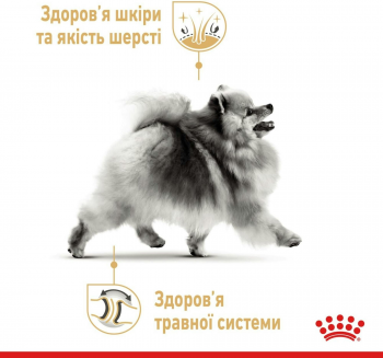 Вологий корм для собак породи Померанський шпіц Royal Canin Pomeranian Adult 85г Вологий корм для собак породи Померанський шпіц Royal Canin Pomeranian Adult 85г | Фото 3