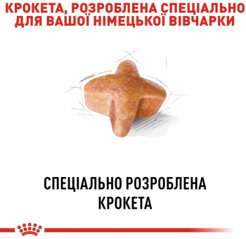 Сухий корм для собак породи Німецька вівчарка Royal Canin German Shepherd Adult 11кг | Фото 5