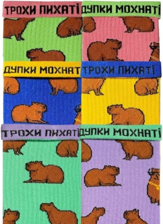 Набір шкарпеток NOSKAR Капібари з цепурою 41-46 3 пари різнокольорові | Фото 2