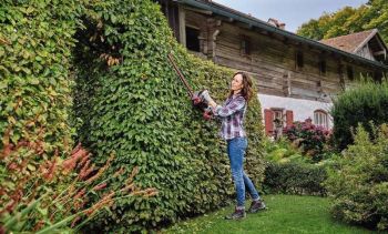 EINHELL GE-CH 36/61 Li, 36В, PXC, 610 мм (без АКБ и ЗУ) (3410965) | Фото 11