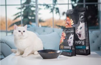 Сухий корм для кошенят Savory зі свіжим м'ясом індички та курки 400г (4820232630136) | Фото 4