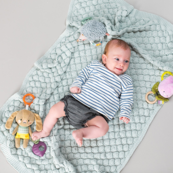 Розвиваюча підвіска-брязкальце TAF TOYS колекції 