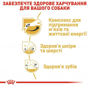 Сухий корм для собак породи Джек-Рассел-тер'єр Royal Canin Jack Russel Adult 1.5кг Сухий корм для собак породи Джек-Рассел-тер'єр Royal Canin Jack Russel Adult 1.5кг | Фото 3