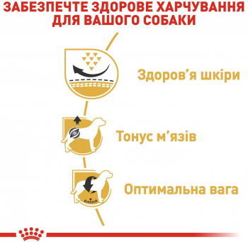 Сухий корм для собак породи Мопс Royal Canin Pug Adult 3кг Сухий корм для собак породи Мопс Royal Canin Pug Adult 3кг | Фото 5