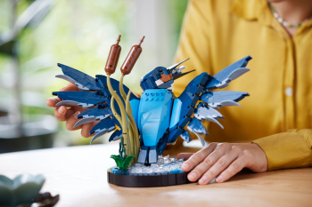 Конструктор LEGO Icons Птах рибалка (10331) Купить конструктор Конструктор LEGO Icons Птах рибалка (10331) | Фото 18