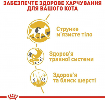 Сухий корм для котів породи Сіамська Royal Canin Siamese Adult 400г Сухий корм для котів породи Сіамська Royal Canin Siamese Adult 400г | Фото 6