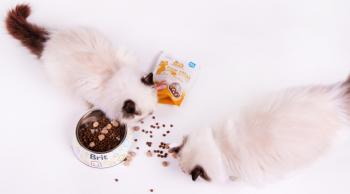 Ласощі для кішок Brit Care Raw Treat Hair&Skin з рибою та індичкою 40г Ласощі для кішок Brit Care Raw Treat Hair&Skin з рибою та індичкою 40г | Фото 5