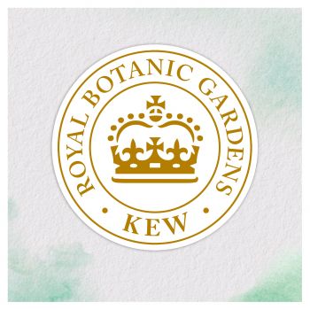 Купить бальзам и кондиционер для волос Herbal Essences Марокканська арганова олія 275 мл (8006540099087) | Фото 4