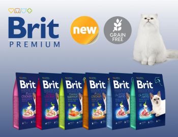 Сухий корм для котів із чутливим травленням Brit Premium by Nature Cat Sensitive з ягням 8 кг (8595602553266) Сухий корм для котів із чутливим травленням Brit Premium by Nature Cat Sensitive з ягням 8 кг (8595602553266) | Фото 5