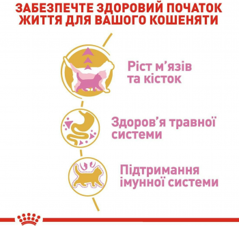 Сухий корм для кошенят породи Британська короткошерста Royal Canin Kitten British Shorthair 2кг (3182550816533) Сухий корм для кошенят породи Британська короткошерста Royal Canin Kitten British Shorthair 2кг (3182550816533) | Фото 4