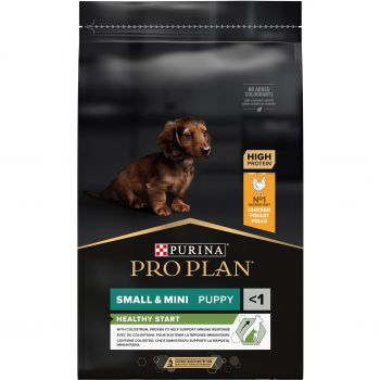 Сухий корм для цуценят дрібних порід Purina Pro Plan Puppy Small&Mini Optistart з куркою, 7 кг (7613035123366) | Фото 1