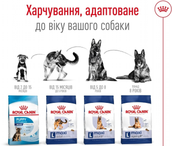 Сухий корм для собак Royal Canin Maxi Adult великих порід 15кг Сухий корм для собак Royal Canin Maxi Adult великих порід 15кг | Фото 2