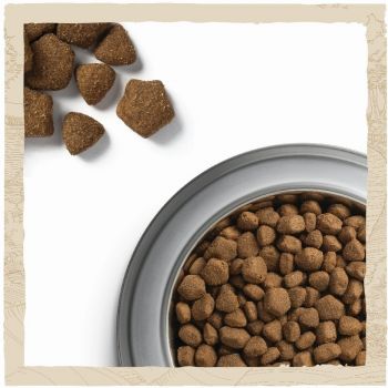 Сухий корм собак великих порід Dog Chow Adult Large Breed з індичкою, 14 кг (7613034487926) Сухий корм собак великих порід Dog Chow Adult Large Breed з індичкою, 14 кг (7613034487926) | Фото 2