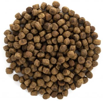 Сухий корм для кішок, які живуть у приміщенні Brit Care Cat GF Indoor Anti-stress з куркою, 0,4 кг(8595602540860) | Фото 5