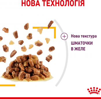 Вологий корм для котів Royal Canin Sensory Taste Jelly 85г | Фото 6