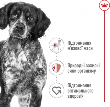 Сухий корм для собак Royal Canin Medium Adult середніх порід 4кг | Фото 4