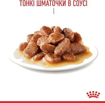 Вологий корм для котів Royal Canin Hair&Skin Care шматочки в соусі 85г | Фото 11