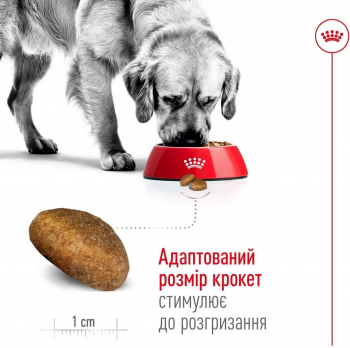 Сухий корм для собак Royal Canin Maxi Adult великих порід 4кг | Фото 4