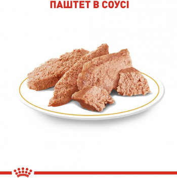 Вологий корм для собак породи Чихуахуа Royal Canin Chihuahua Adult 85г Вологий корм для собак породи Чихуахуа Royal Canin Chihuahua Adult 85г | Фото 8