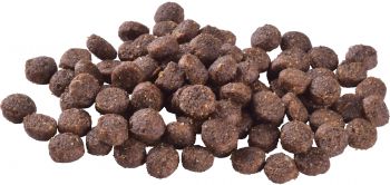 Корм для цуценят Brit Care Dog Sustainable Puppy з куркою та комахами 3кг(8595602558636) Корм для цуценят Brit Care Dog Sustainable Puppy з куркою та комахами 3кг(8595602558636) | Фото 3