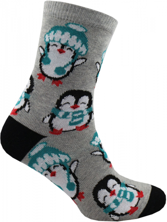 Шкарпетки жіночі Premier Socks 36-40 1 пара з малюнком (4820163324814) | Фото 2