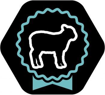 Purina ProPlan Large Athletic з ягням, 14 кг (7613035415591) Purina ProPlan Large Athletic з ягням, 14 кг (7613035415591) | Фото 8