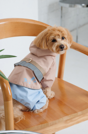 Дощовик для собак Pet Fashion Tina розмір М бежевий (4823082435173) | Фото 4